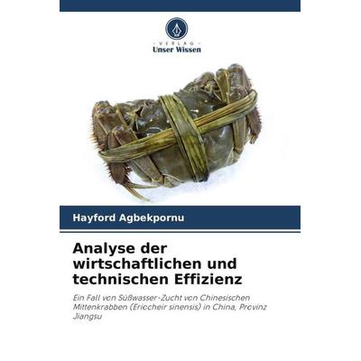 Analyse der wirtschaftlichen und technischen Effizienz, Taschenbuch von Hayford Agbekpornu,Yuan Xinhua,Zhang Zongli, Verlag Unser Wissen,