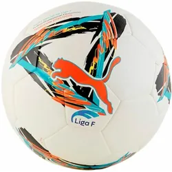Puma, Fussbälle, (5)
