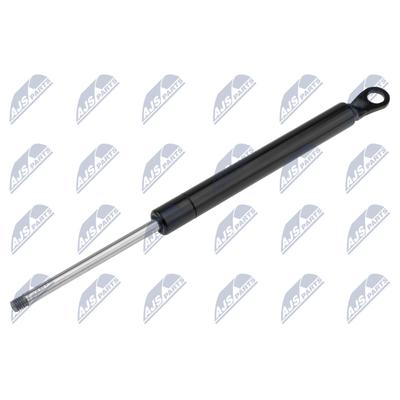 NTY Gasfeder, Koffer-/Laderaum AE-CT-008 für Citroën