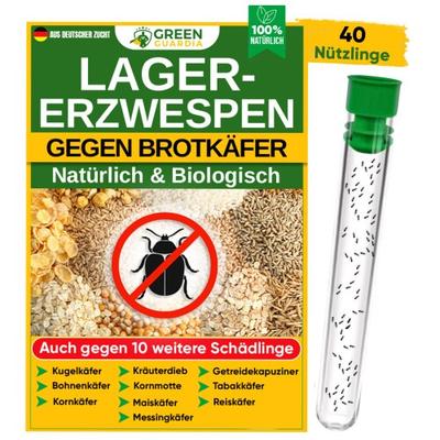 Green Guardia Lagererzwespen gegen Brotkäfer, Reiskäfer & Co. - 8