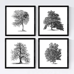 POSTER Set mit 4 Blättern der Obstbäume ohne, weiß 30x30 cm Rahmenlos