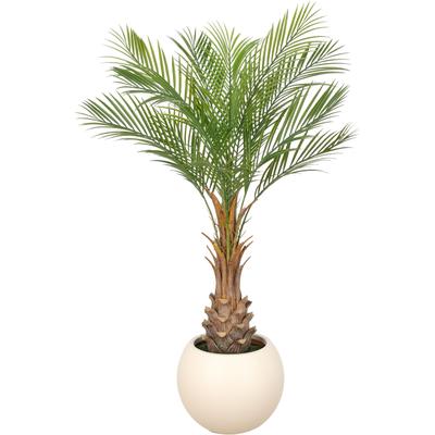 Kunstpalme CREATIV GREEN "Phoenixpalme roebelenii", grün, H:125cm, Obermaterial: 100% Kunststoff, Kunstpflanzen, mit naturgetreuen Palmwedeln