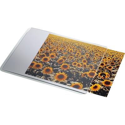 Esselte Mousepad Personal mit Einstecktasche Packung mit 10 Stück