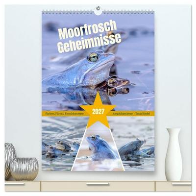 Moorfrosch Geheimnisse – Farben, Flirts & Froschkonzerte - Tanja Riedel (hochwertiger Premium Wandkalender 2027 DIN A2 hoch), Kunstdruck in Hochglanz
