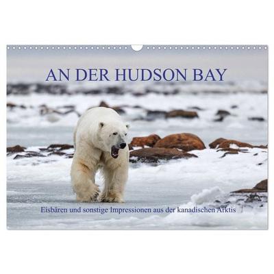 AN DER HUDSON BAY (Wandkalender 2027 DIN A3 quer), CALVENDO Monatskalender