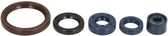 Athena P400220400255 Spring Washer, exhaust system