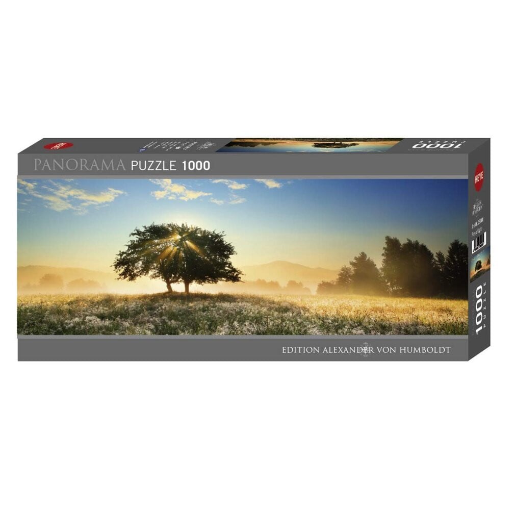 Heye Puzzle Spel van licht