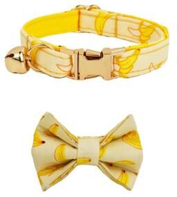Uplifted Finds Personalized Velvet Bowtie Safety Collar bow Tie Collar (07) l