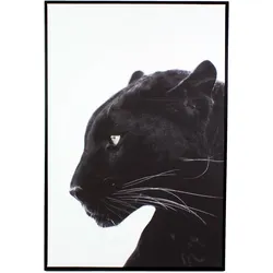 VOSS Design »Puma« Bild