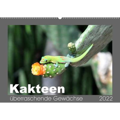 Kakteen - überraschende Gewächse (Wandkalender 2022 DIN A2 quer)