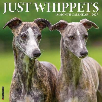 Whippets 2027 12 X 12 Wall Calendar