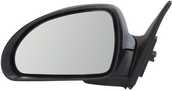 BLIC 5402-04-9927133P Wing mirror