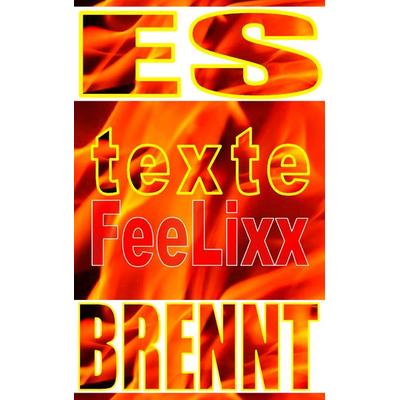 Es brennt, Taschenbuch von Fee Lixx, BoD – Books on Demand, 978-3-7347-7847-6