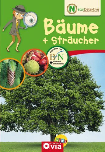 Birgit Kuhn - Naturdetektive: Bäume und Sträucher. Wissen und Beschäftigung für kleine Naturforscher ab 6 Jahren - Preis vom 06.10.2026 07:26:00 h