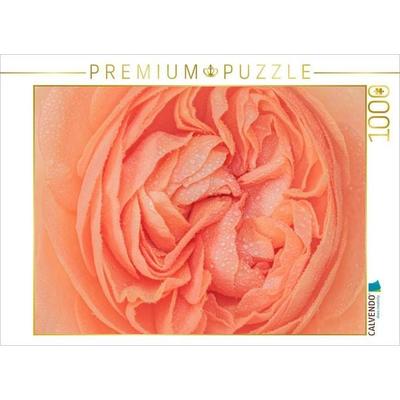 CALVENDO Puzzle Rosenblüte im Morgentau | 1000 Teile Lege-Größe 64x48cm Foto-Puzzle für glückliche Stunden