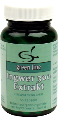 11 A Nutritheke GmbH INGWER 300 Extrakt Kapseln 30.5 g 07749221
