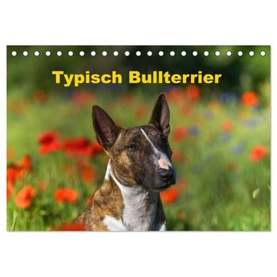 Typisch Bullterrier (Tischkalender 2027 DIN A5 quer), CALVENDO Monatskalender