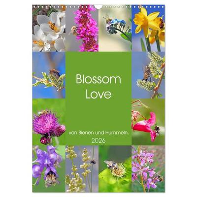 Blossom Love, von Bienen und Hummeln (Wandkalender 2026 DIN A3 hoch), CALVENDO Monatskalender
