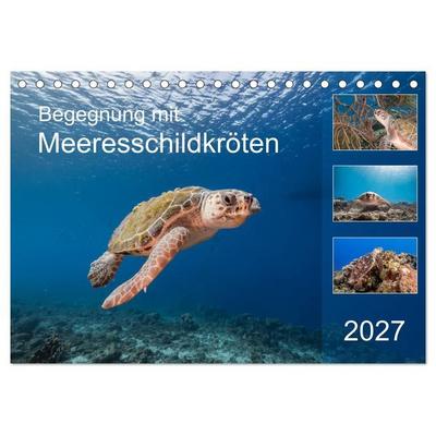 Begegnung mit Meeresschildkröten (Tischkalender 2027 DIN A5 quer), CALVENDO Monatskalender