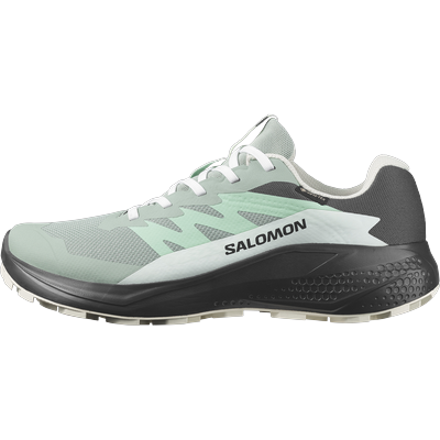 Trailrunningschuh SALOMON "ALPHAGLIDE GORE-TEX W", Damen, Gr. 40, grün (grün milieu, asphalt, clearly aqua), Synthetik, Textil, Schuhe, wasserdicht