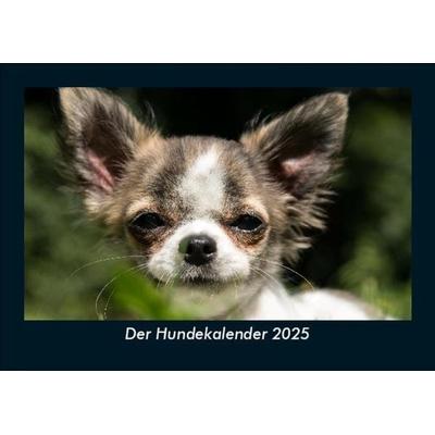 Der Hundekalender 2025 Fotokalender DIN A5