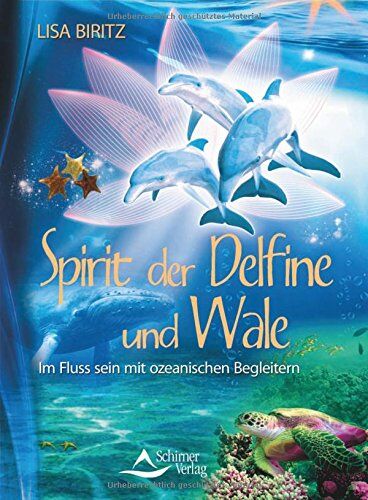 Lisa Biritz - Spirit der Delfine und Wale: Im Fluss sein mit ozeanischen Begleitern - Preis vom 17.10.2026 19:25:27 h