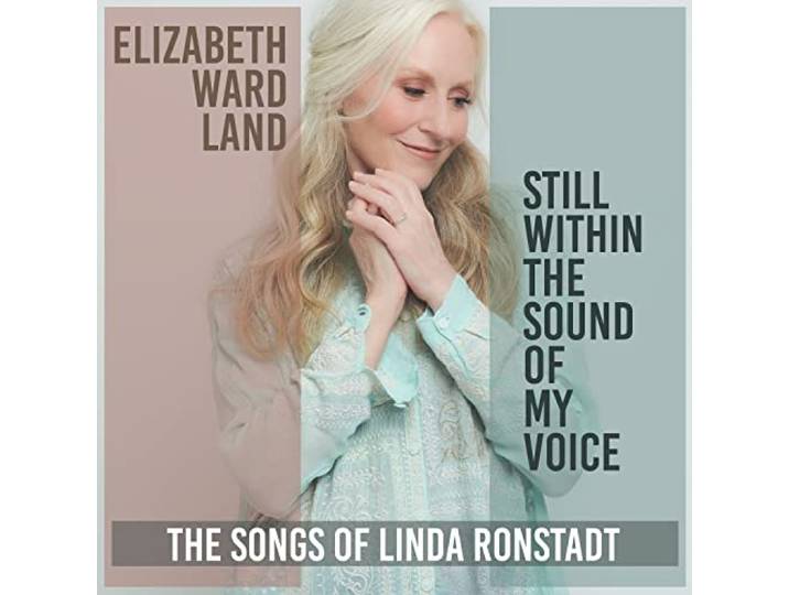 Still Within the Sound of My Voice