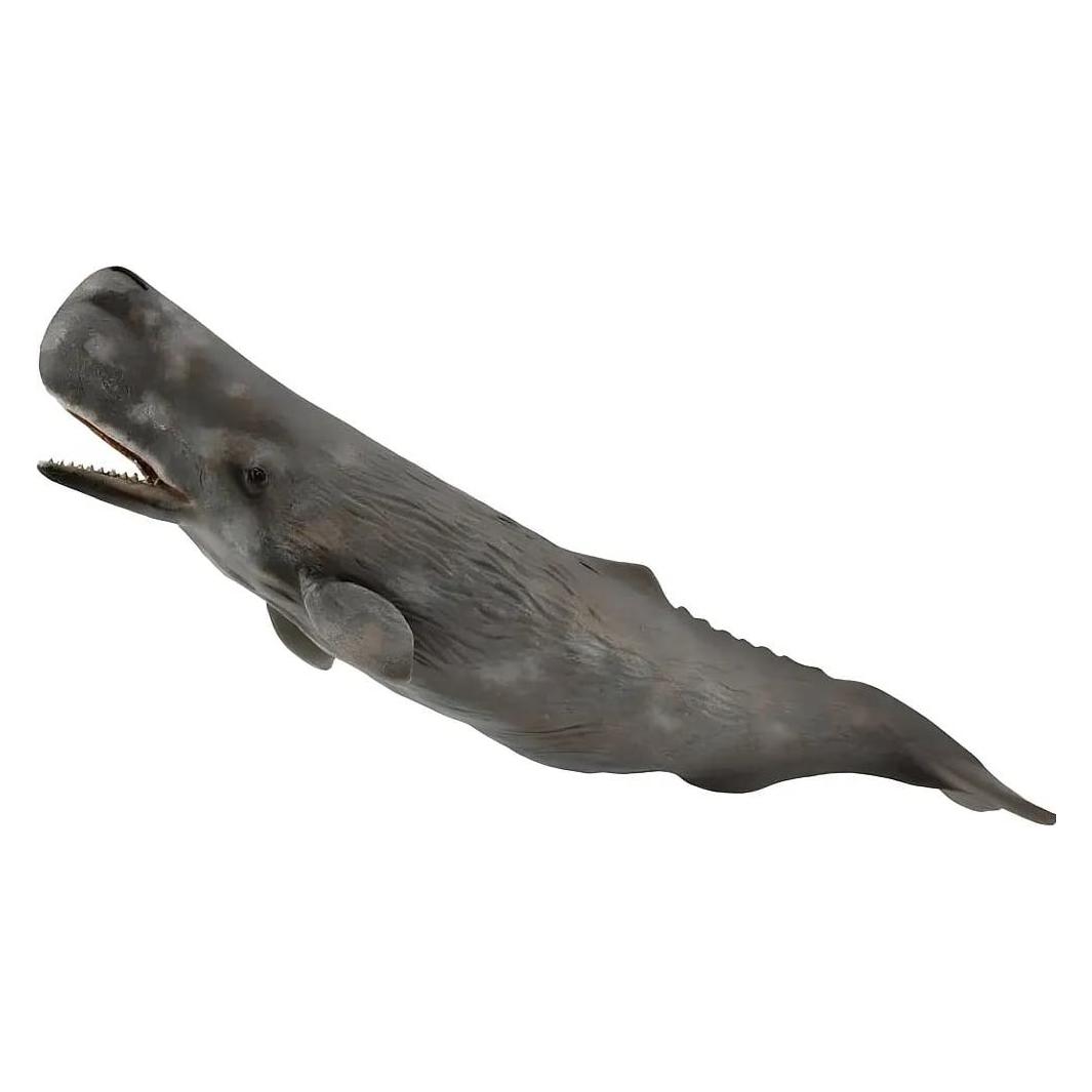 Collecta Pottwale, 88835 (004-88835)