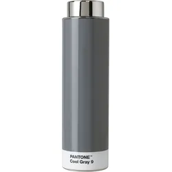 Pantone Getränkeflasche 500 ml grau
