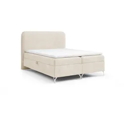 BOXBETT Emilio In überlänge