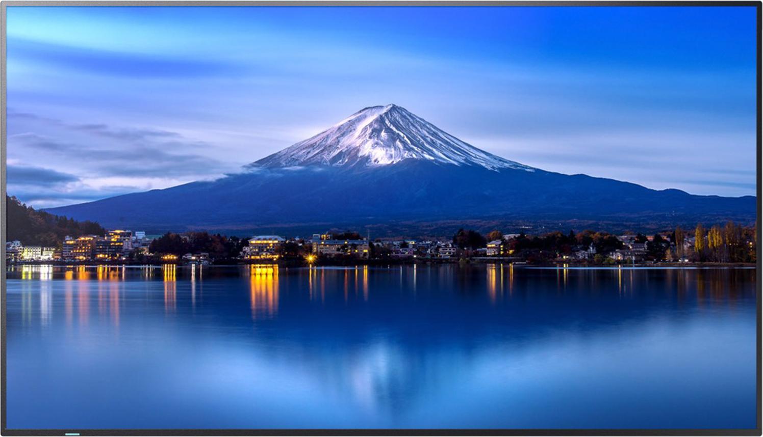 Sharp MultiSync P656, Kiosk-Design, 163,8 cm (64.5"), LCD, 3840 x 2160 Pixel