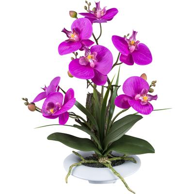 Kunstorchidee CREATIV GREEN "Orchidee Phalaenopsis", lila, H:41cm, Kunststoff, Kunstpflanzen, in außergewöhnlicher Keramikschale