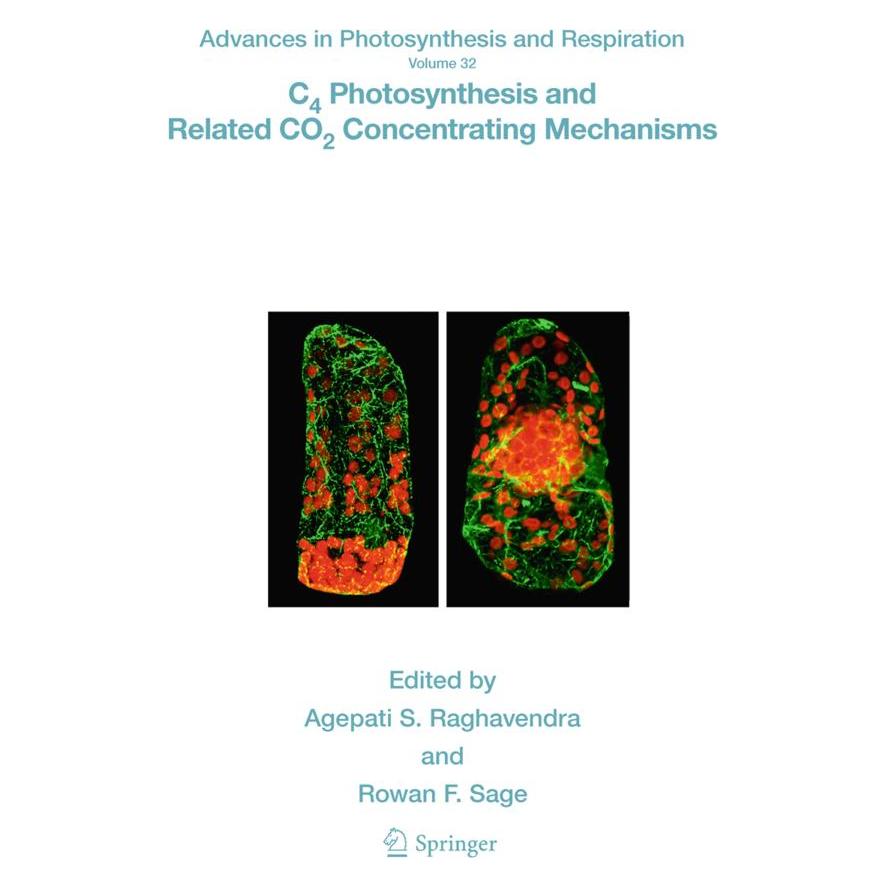 Springer C4 Photosynthesis and Related CO2 Concentrating Mechanisms (Englisch, Softcover, Agepati S. Raghavendra, Rowan F. Sage) (55506028)