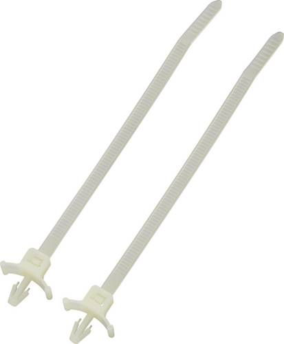 TRU Components 1592822 TC-PCV155203 Kabelbinder 157mm 3.50mm Natur mit Spreizanker