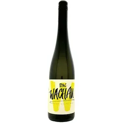 Weingut Braun Grüner Vetliner Wachau 2023 12.5% Vol. 0.75L