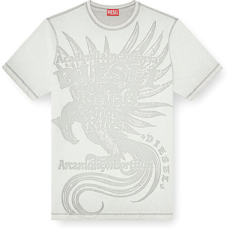 Diesel T-Shirt T-RAWJUST-AA1 hellgrau   S S
