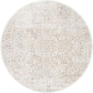 SAFAVIEH Evoke Quinn Vintage Distressed Rug