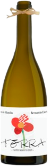 Bernardo Estevéz Bernardo Estévez y Xico Mandín Terra 2023 - 75cl