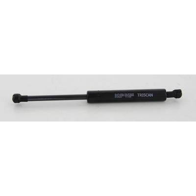 TRISCAN Gasfeder, Verdeck 8710 38243 für Citroën