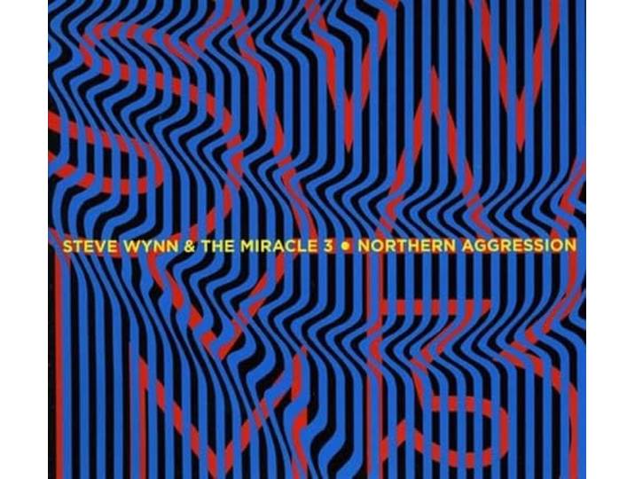 Steve Wynn - Northern Aggression