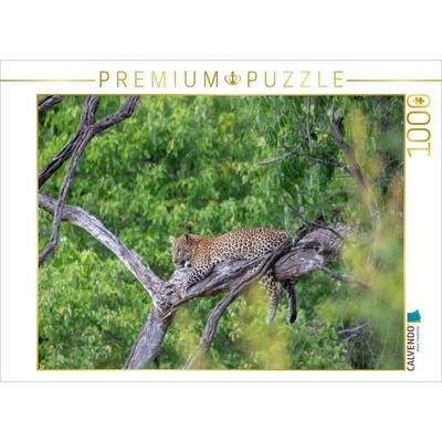 CALVENDO Puzzle Leopard im Chobe Nationalpark | 1000 Teile Lege-Größe 64x48cm Foto-Puzzle für glückliche Stunden