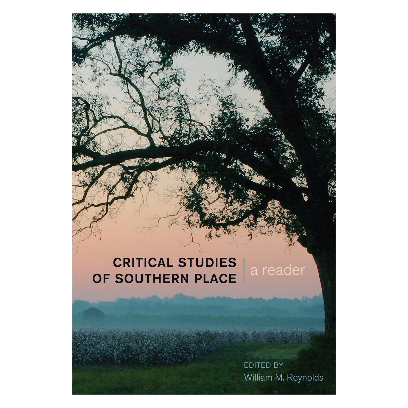 Peter Lang Critical Studies of Southern Place (Englisch, Hardcover, M Reynolds, William, William M. Reynolds, William M. Steinberg Reynolds) (56472428)