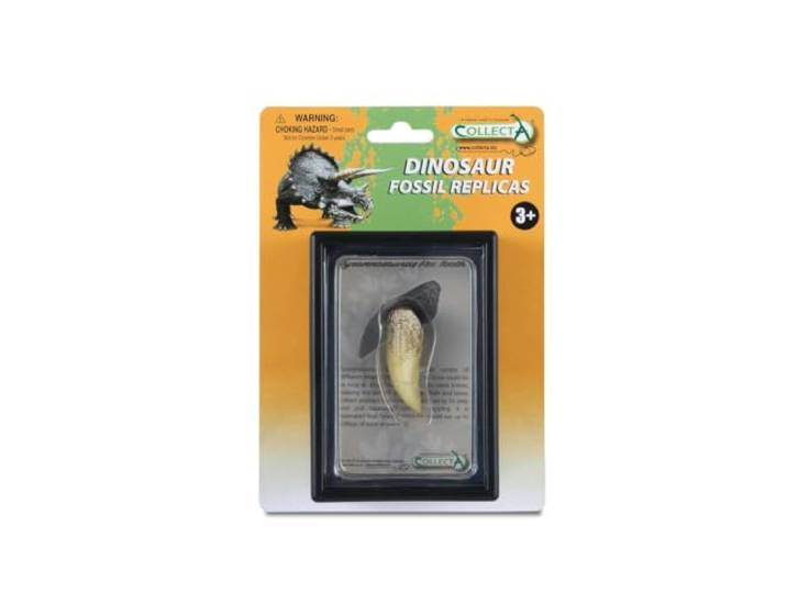 Collecta tand van Tyrannosaurus Rex Box Set