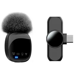 Lippa Wireless Wind Protected Microphone With USB-C Connector, Mikrofon