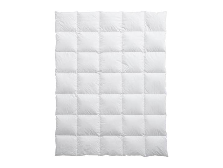 Billerbeck Kassettenduvet, Weiss, Textil, Füllung: Daunen, 160x210 cm, Made in Switzerland, temperaturausgleichend, feuchtigkeitsregulierend, weich und anschmiegsam, atmungsaktiv, Heimtextilien, Kopfkissen & Duvets, Duvets, Daunendecken