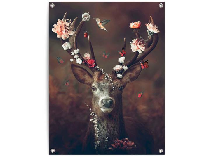 Poster REINDERS Hirsch , braun (farbe bild(er): braun), B:60cm H:80cm T:0,1cm, Leinwand, Bilder, Poster