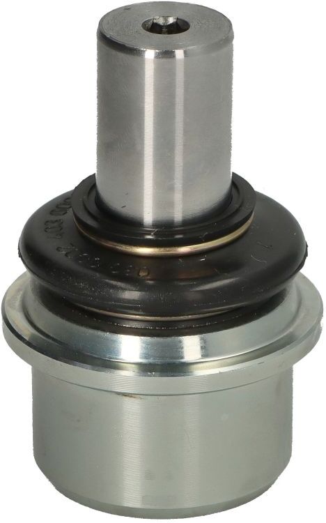 Ten Car Perno di articolazione S086TC