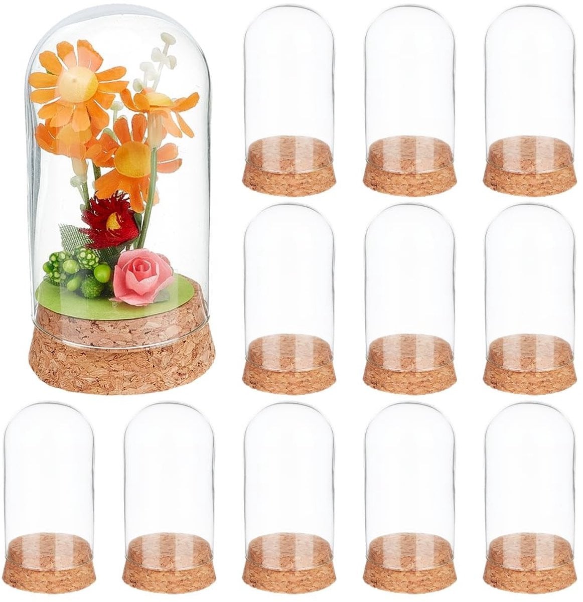 Dailygoods 20 stuks decoratieve glazen cloche met kurkbasis voor bloemen en ambachten