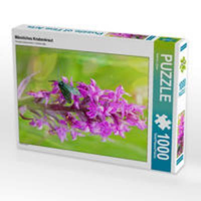 CALVENDO Puzzle Männliches Knabenkraut 1000 Teile Lege-Größe 480 x 640 cm Foto-Puzzle Bild von Sabine Löwer
