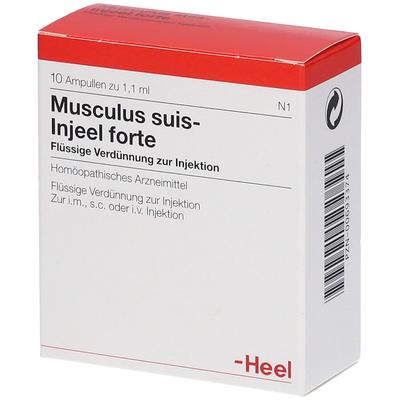 Musculus Suis Injeel forte Ampullen 10 St